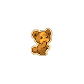 Gold Teddiursa